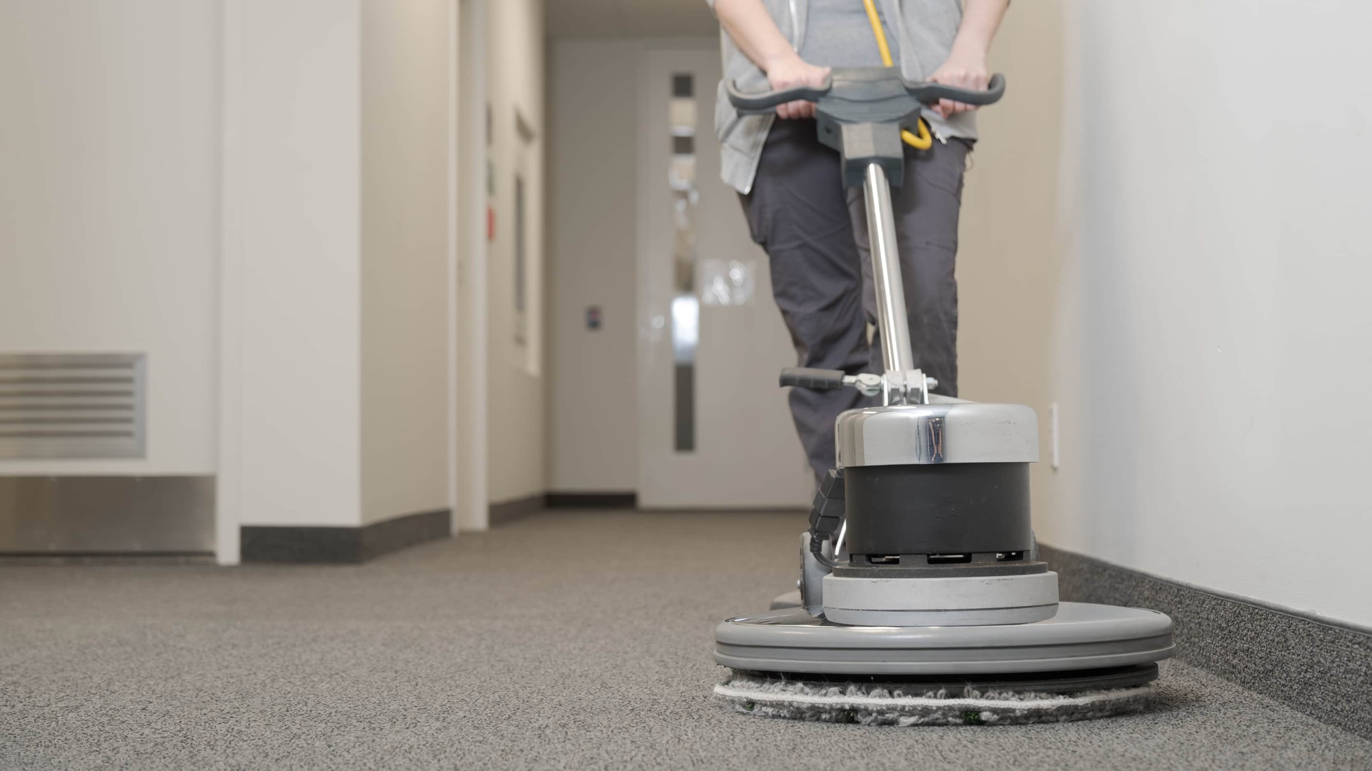 Professional carpet service